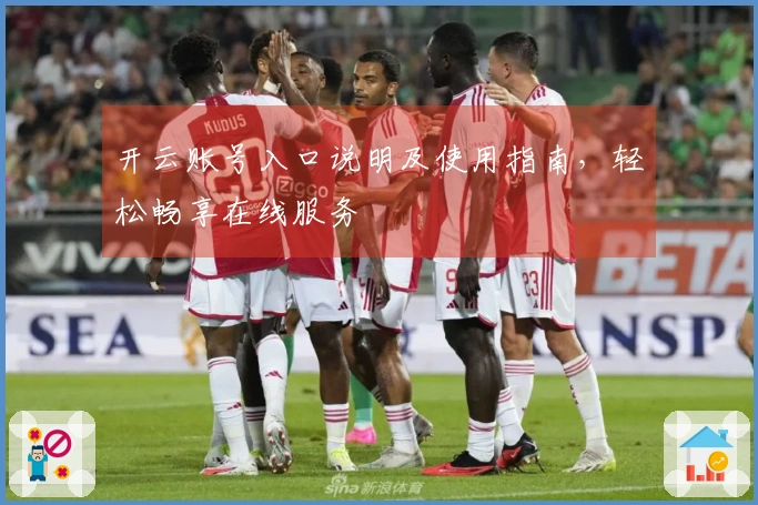 开云账号入口说明及使用指南，轻松畅享在线服务